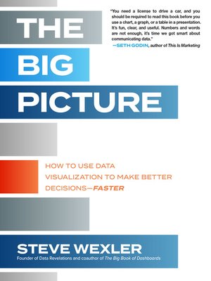 cover image of The Big Picture